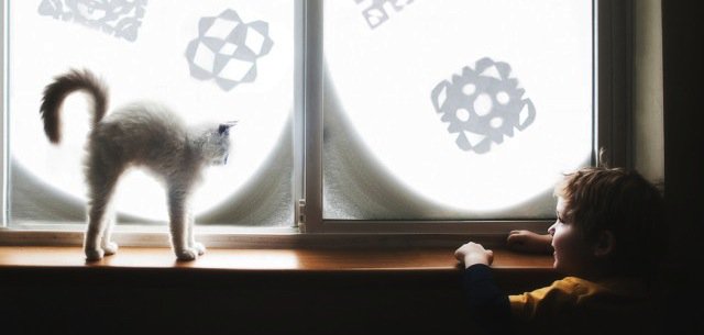 CaptainFeline's tweet image. #Friendship Between Three Little Boys &amp;amp; Two Cats smq.tc/1dwCW7j via @Fubiz #photography #cats