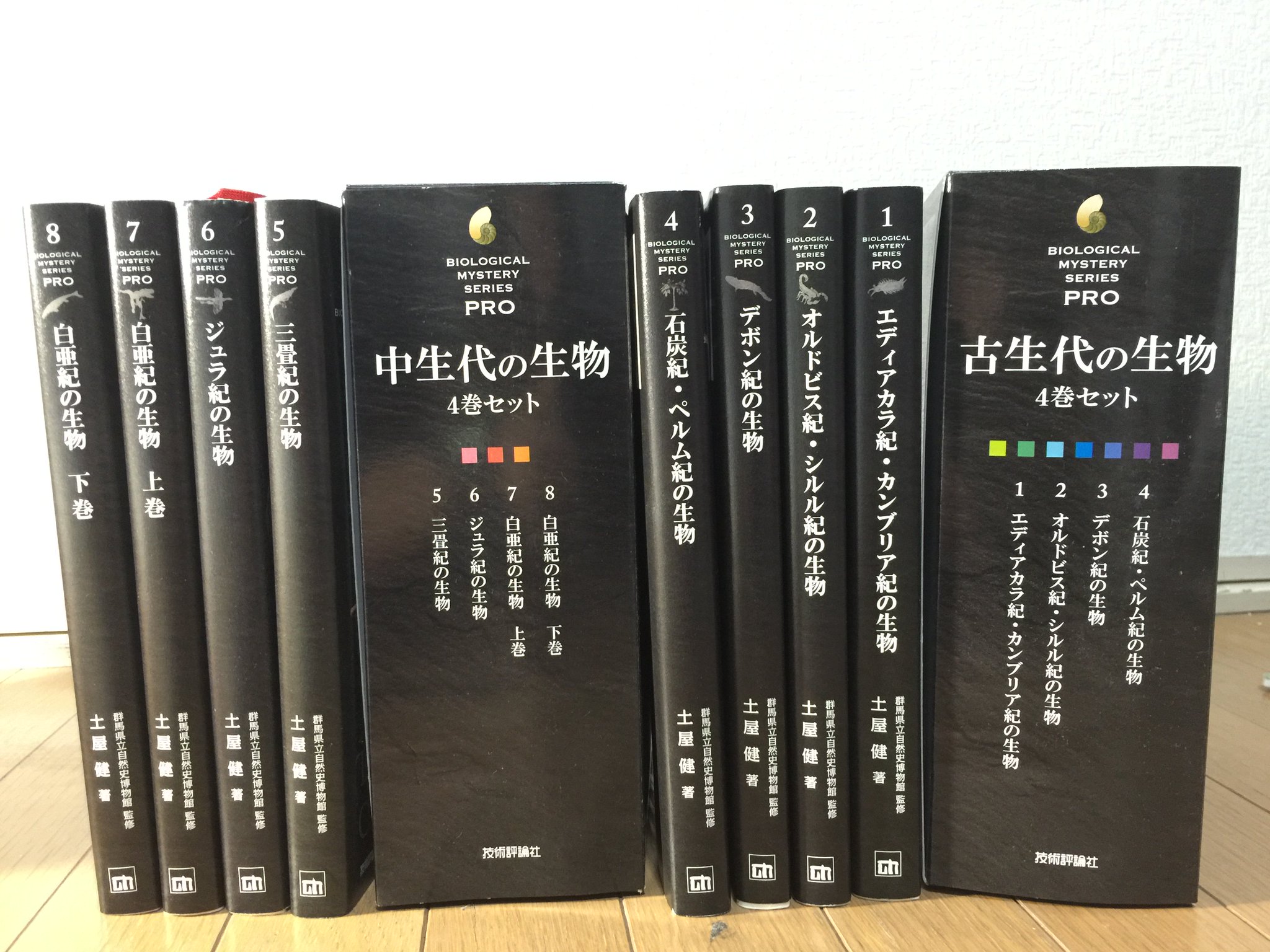 エディアカラ紀・カンブリア紀の生物 他