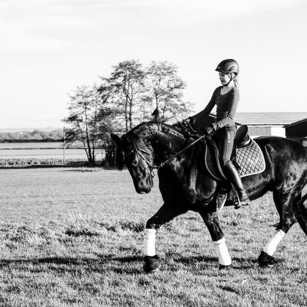 EQPpics's tweet photo. Post by _benina_: Und seid ihr gut reingerutscht?πππ
#dressage #2016 #firstpicin2016 #riding #horsepage #horselover⦠https://t.co/Yl0N9Eg6qZ