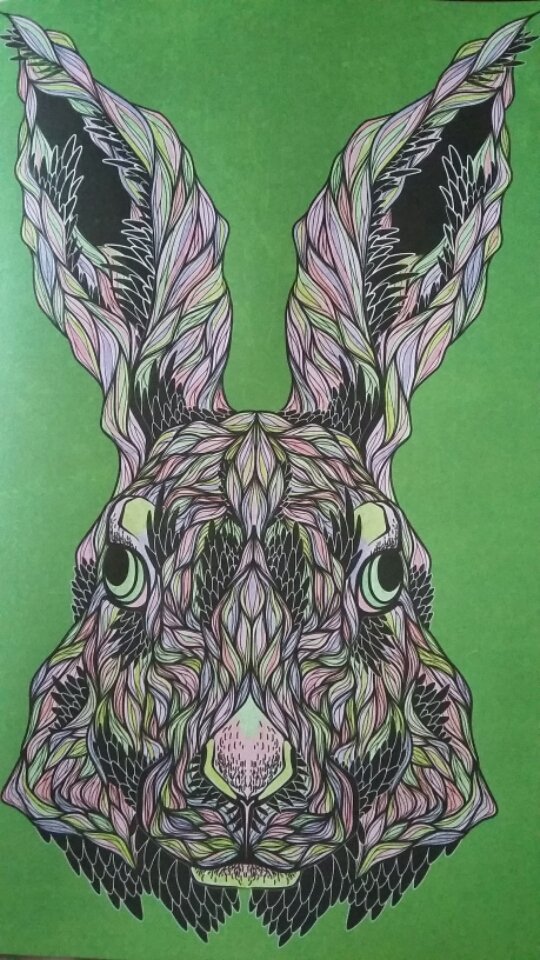 foxyflic's tweet image. Finished a #hare from my anti-stress #adultcolouringbook I got for Xmas....