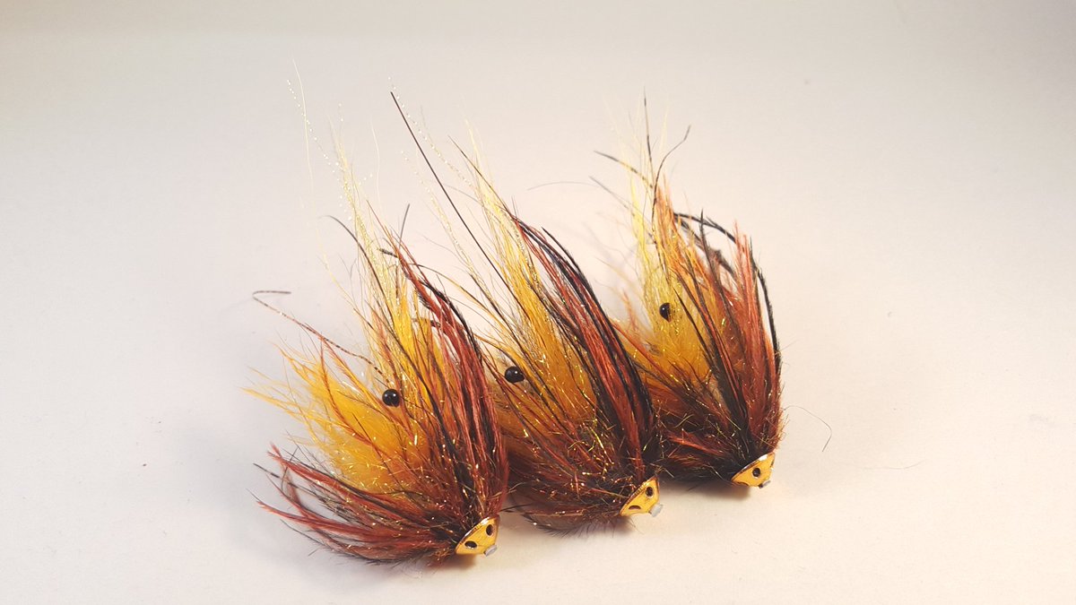 thspey's tweet image. Nova Shrimptruders!