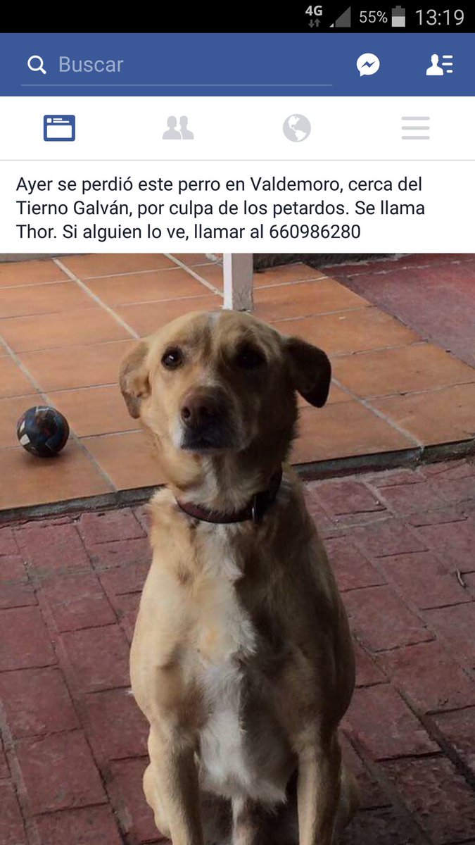 Berjillos84's tweet image. Torrejon,Valdemoro,Ciempozuelos,Pinto...porfavor si alguien lo ve o puede ayudar.
Es de un amigo y esta destrozado..