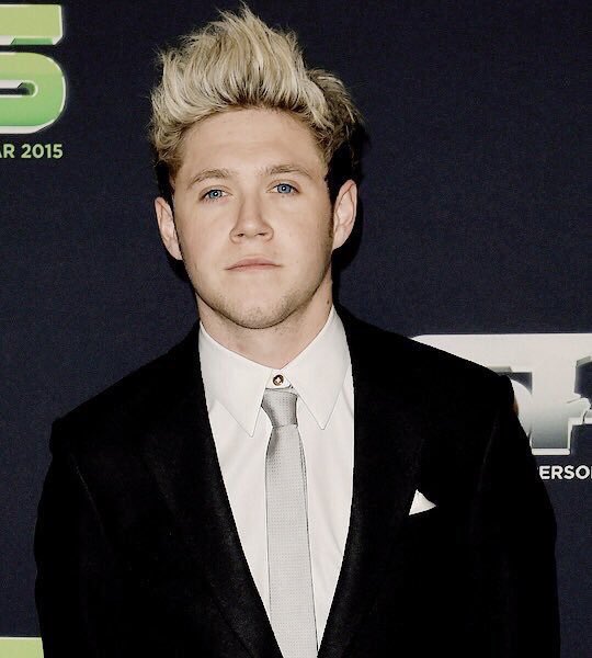 FitFamousMales's tweet photo. He's the Irish hunk of #1D and @NiallOfficial is our number 13 in the Fittest Males of 2015 thanks to you! #FFM50 https://t.co/briCDwv9nU