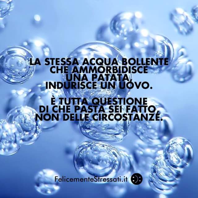 TerenzioTraisci's tweet photo. È così, l'anno strepitoso che sarà dipende solo da te.. Auguri Ridenti di #Felice2016! 
https://t.co/l11kzaiYpY https://t.co/ah5ciHr1tn