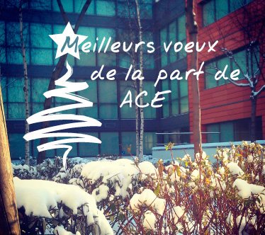 SupExpertise's tweet photo. Le #CFA_ACE vous présente ses meilleurs voeux pour cette nouvelle année 2016.
#BonneAnnee https://t.co/cxU7hULivH