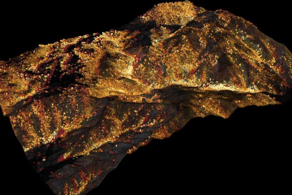 Embedded image permalink