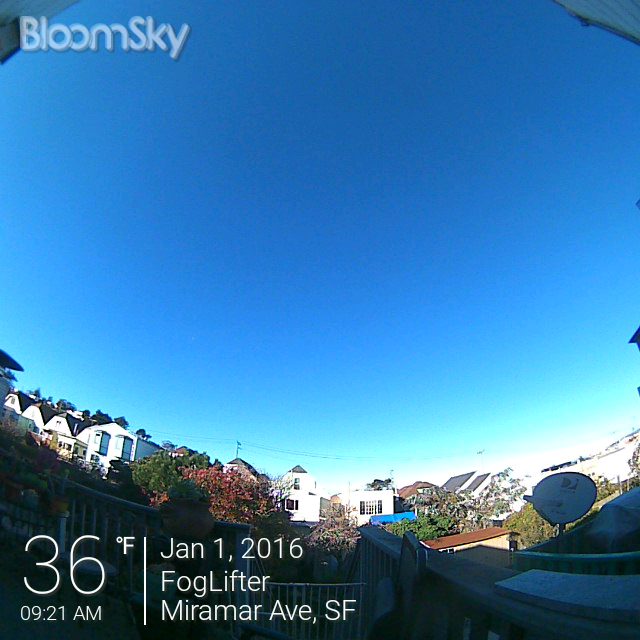 bloomsky's tweet photo. Still very cold in shaded pockets of #SanFrancisco this morning. #Brrrrrr #CAwx #CAcold https://t.co/n104YP0YYC