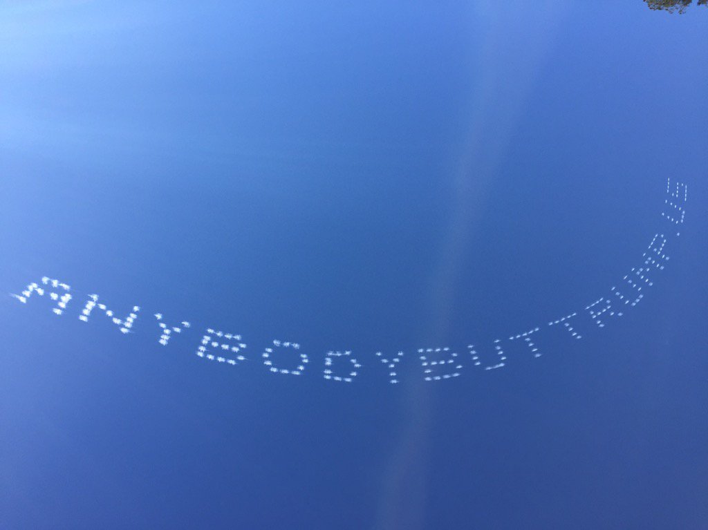 Anybodybuttrump.us above Rose Bowl Anybodybuttrump.us above Rose Bowl