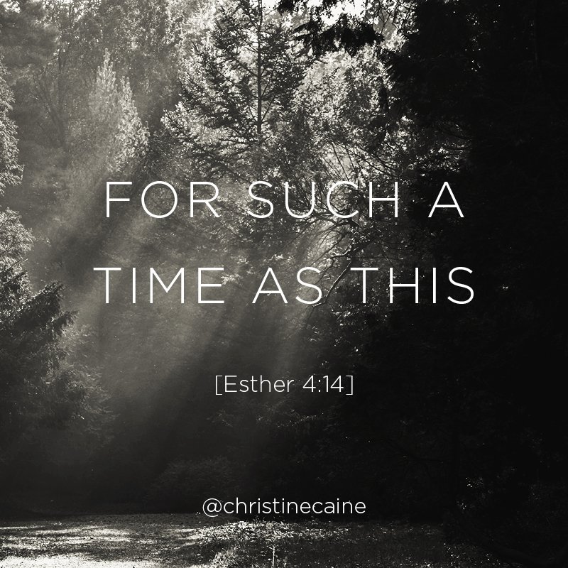 ChristineCaine's tweet photo. Wishing you all a blessed &amp; Happy New Year. Excited for all that is ahead in 2016! https://t.co/L9C98YBRew