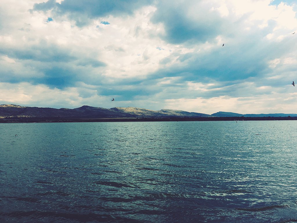 Karabo_Mokgoko's tweet photo. It's a beautiful day 🌄🕊 https://t.co/ZwY6H34raB