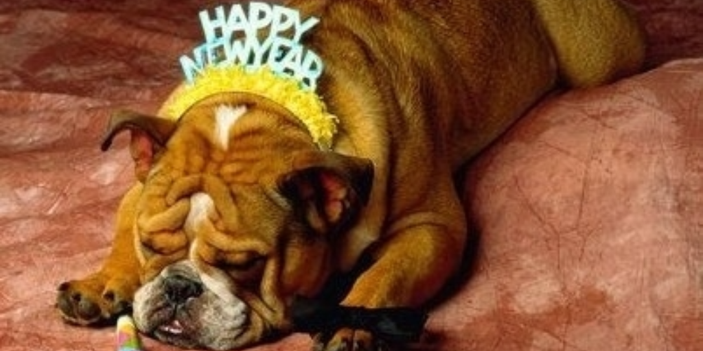 Marc the Vet's App (@marcthevetapp) on Twitter photo 