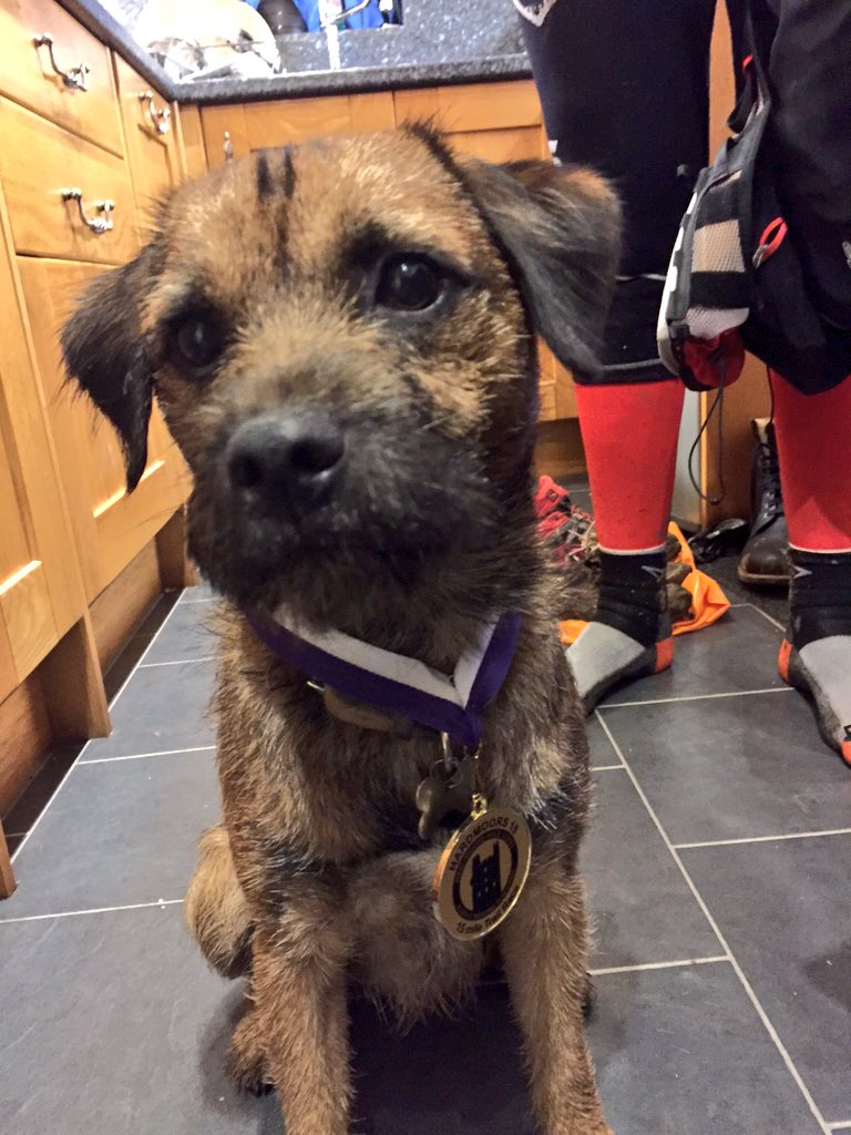 grandstanviews's tweet photo. My first fifteen mile trail run and my first medal. Still pulling at the lead at the finish line! #hardmoors15 https://t.co/EWBVqe1E2W