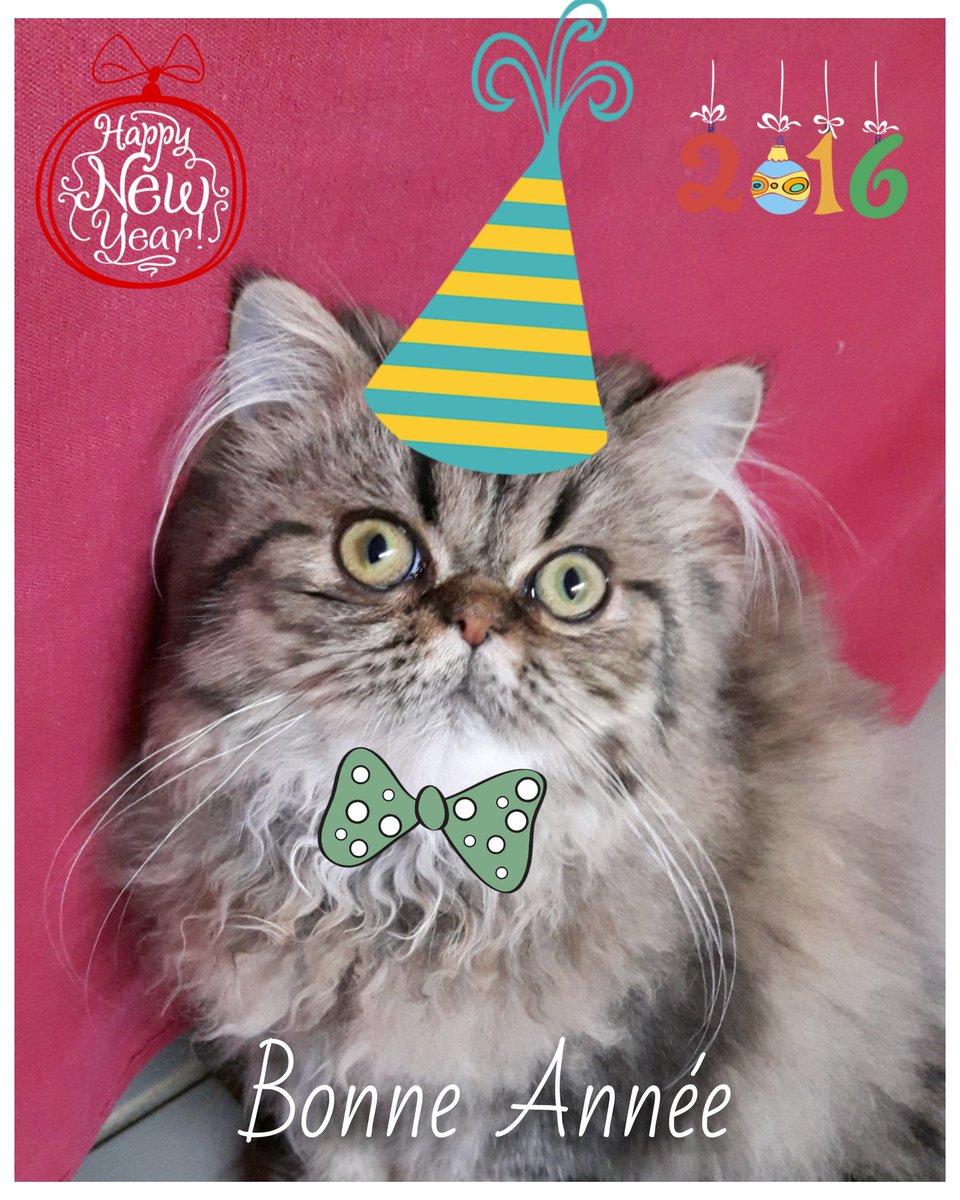 Bonne Année à tous