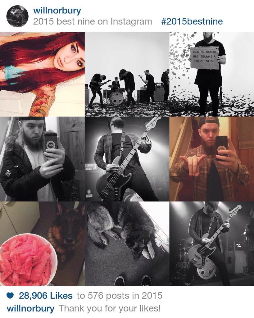 willxnorbury's tweet photo. My Instagram seems to be fuelled by selfies, my band, my dog and @ALLISONGREEN https://t.co/f7YxgSbF8x
