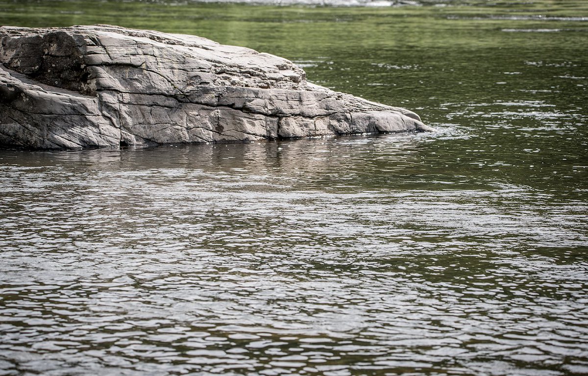 Upper Delaware NPS tweet media