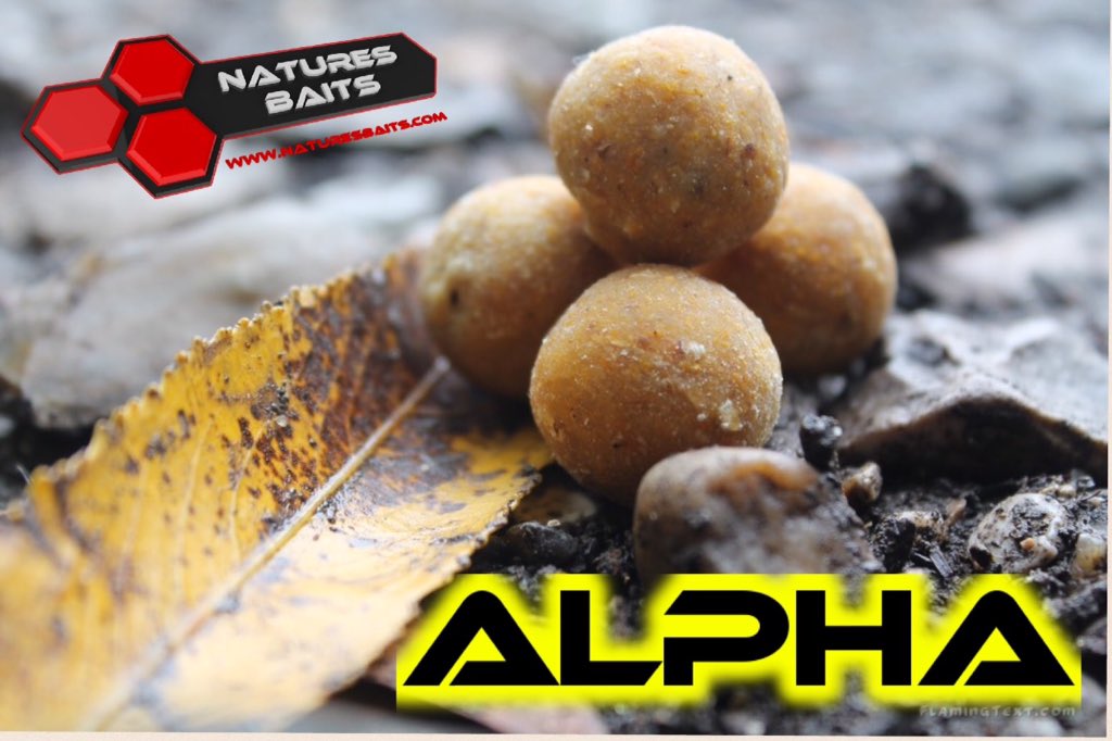 Phill Grimbley rapped up Xmas 2015 in style, with the Alpha range being there downfall 

naturesbaits.com