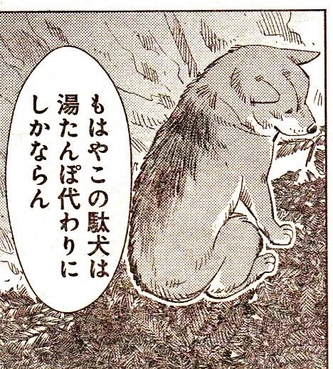 World Blue Delivery 駄犬 湯たんぽ Ocnhm Com
