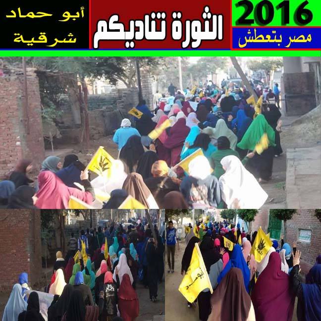 متابعة يومية للثورة المصرية - صفحة 40 CXpsg7aUoAE9RpW