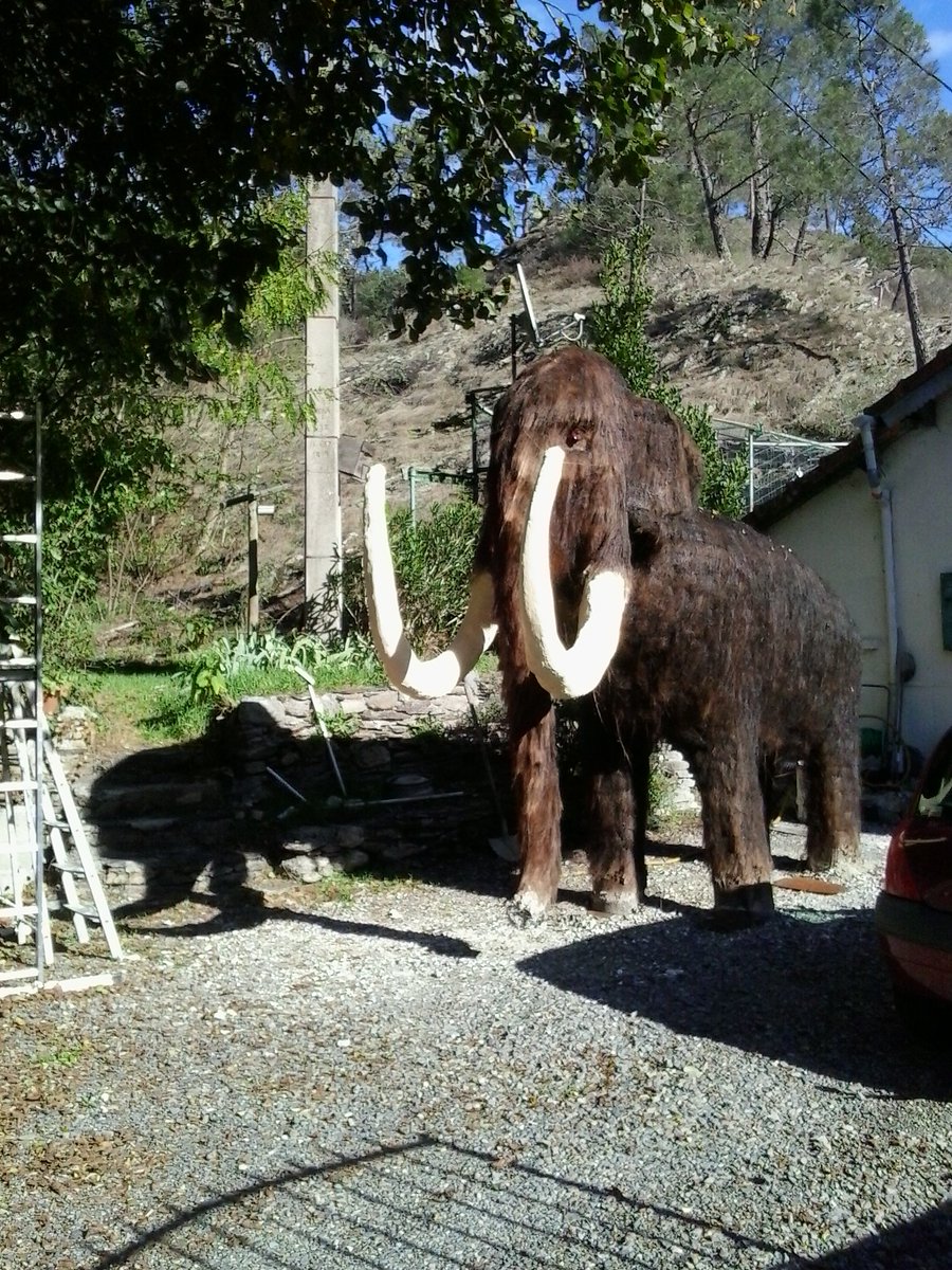 massillargues's tweet photo. Qui sait où se trouve ce tres beau mamouth ? https://t.co/0aKoeg7NJF