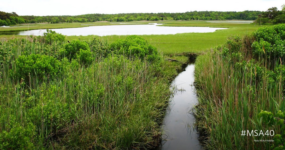 Pew Environment tweet media
