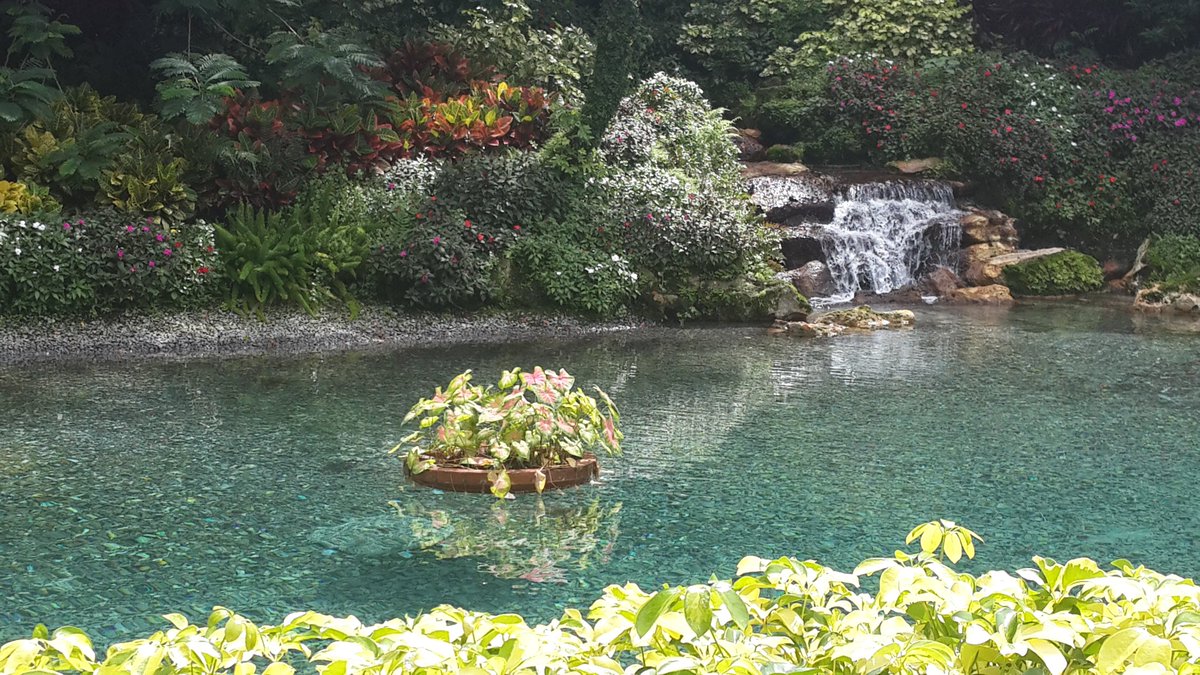 Intimore Corporation tweet media