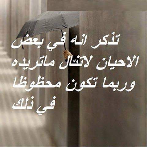 أبو ليان (@akrmzaid1) on Twitter photo 