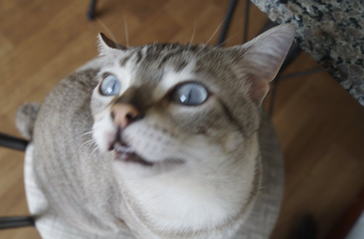 wtfmiu's tweet photo. quando eu lembro o que eu falei e fiz bêbado https://t.co/YrJbRfRCsa