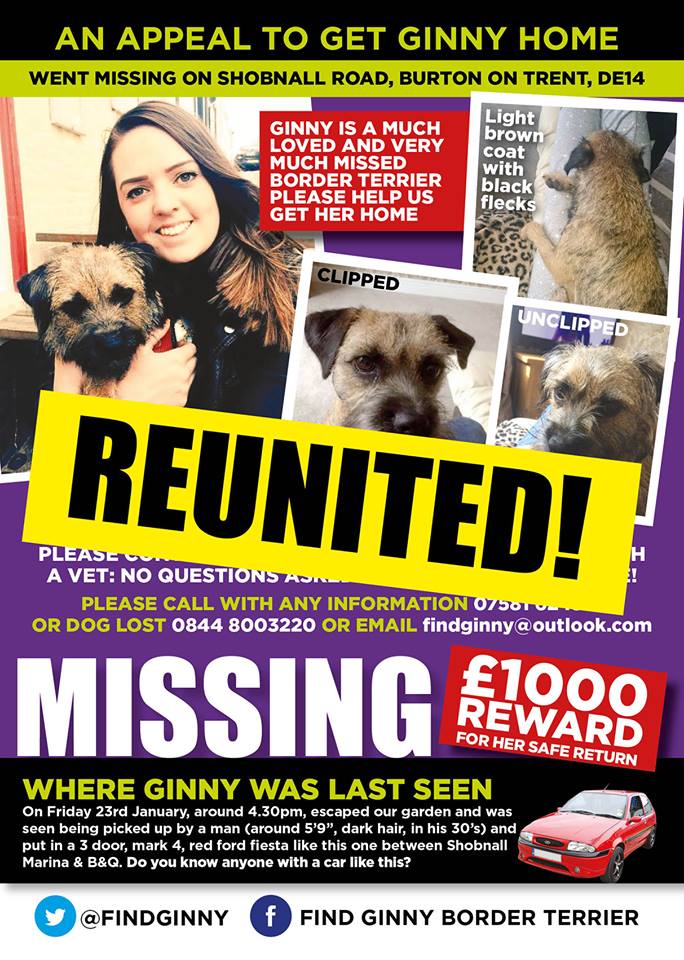#BTPosse <a href="/claptonterrier/">Sir Clapton Terrier</a> GINNY FOUND! GINNY FOUND!