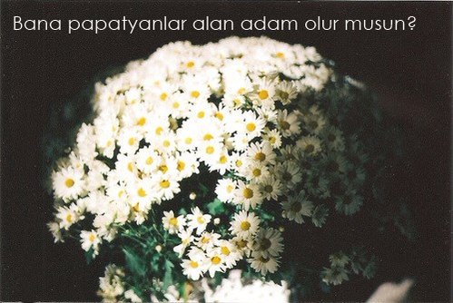 Hatice Kübra (@papatyaaseverr) on Twitter photo 
