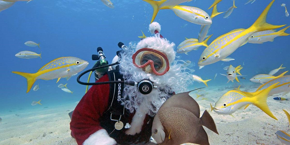 Regala un Curso de Buceo en Navidad y te recordarán toda la vida zoea.com/regala-un-curs…