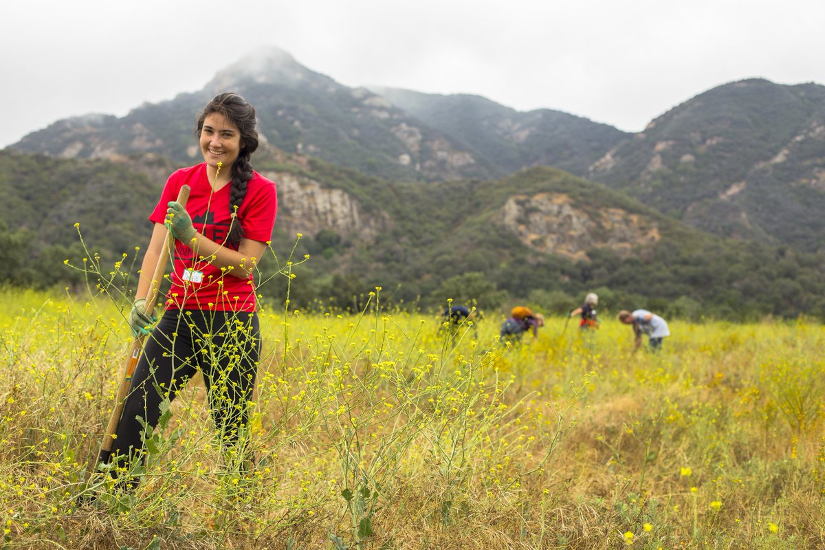 TreePeople_org's tweet image. Happy New Year! Tell us how you&apos;re making LA sustainable and climate-resilient in 2016 using hashtag, #TREEsolutions