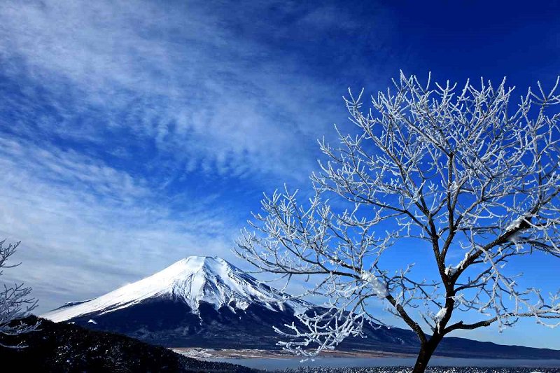 元日は 初詣をして おせちを食べて おごそかに そして いよいよ