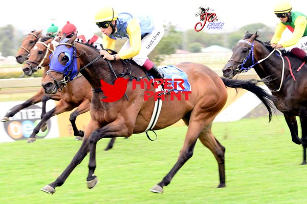 Aushorse_TBA's tweet photo. 4yo Shea Devon (High Chaparral) an @inglis_sales #Premier grad goes back to back in SAF for @Woodruff_Racing https://t.co/Z8IPxaOHJg