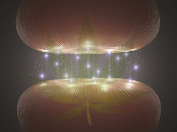 ThinkTankExile's tweet photo. Understanding Human #Cannabinoid Receptors: Why #Cannabis Affects Us -https://t.co/fP2u8brlxn  #mustread #science https://t.co/BnuctMGppz
