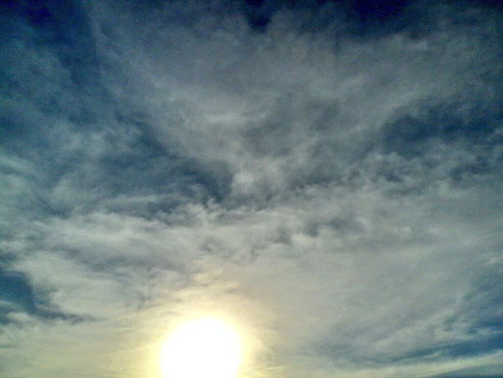 GlobalDoves's tweet image. HAPPY NEW YEAR!