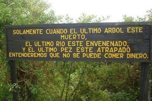 TIERRA SANA tweet media