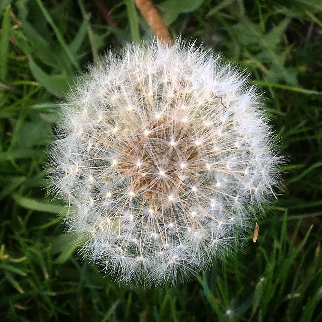 jdavidtrotter's tweet photo. Make a wish. #setanintention #2016 https://t.co/K8aqlihNTT https://t.co/RHDkQlJE7X