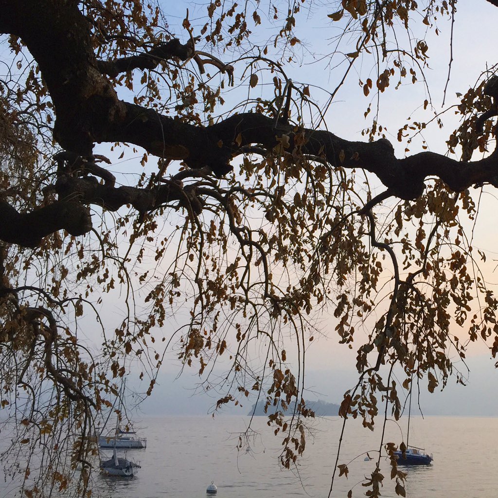 silviarefaldi's tweet photo. Happy new year from my lake #2016 #lagomaggiore #maggiorelake #january #1Jan2016 #naturelovers https://t.co/JTJjLIyxS5