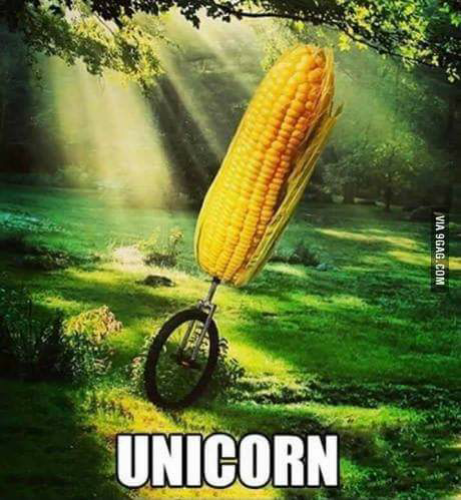 chiefplan1's tweet photo. #2016NewTechnology

the uni-corn https://t.co/5QoNmNmjWz