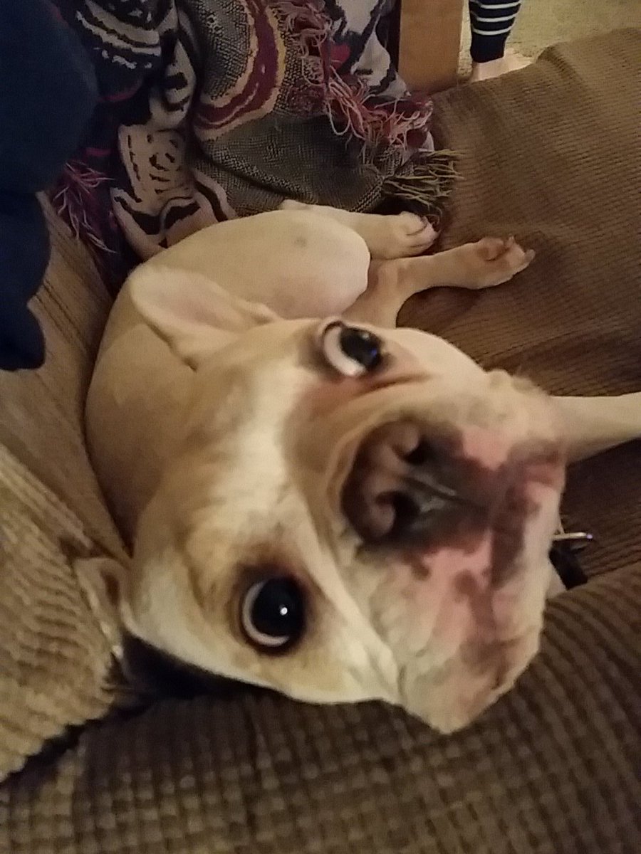 Happy New Year.   Bitches.