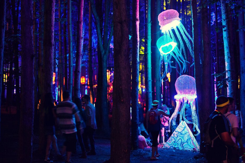 Electric Forrest, where you can hear the colors and see the sounds. 
