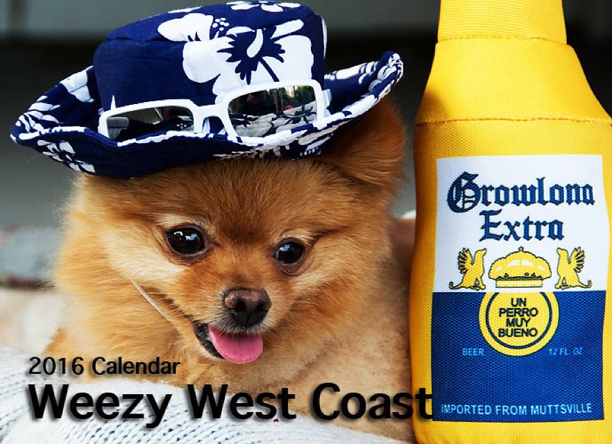 Chanel "Get the 2016 Weezy West Coast calendar @ https://t.co/l5aXEV937N! %50 of proceeds go to https://t.co/MJaeqH5fde! 🐶❤ https://t.co/xtk4oFIiby" / Twitter