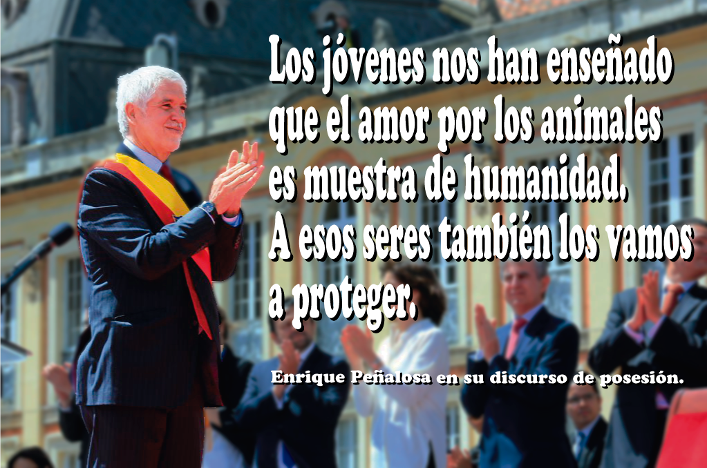 PlataformaALTO's tweet photo. Alcalde @EnriquePenalosa ratifica en discurso de posesion que trabajará por la protección animal. https://t.co/VN5YqsHT6r