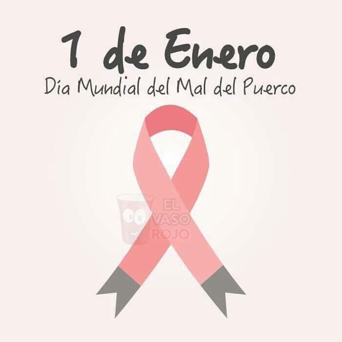 maruajuria's tweet photo. Jahaaa oink https://t.co/5ygfpaEaZy