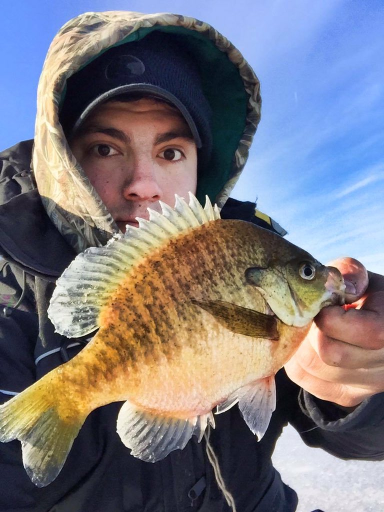 #jandscustomjigs #versamite #bluegill #icefishing #witnessthepowerofplastics