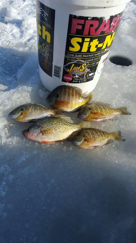 #jandscustomjigs #bluegill #crappie #versamitejr #versamite #witnessthepowerofplastics #icefishing