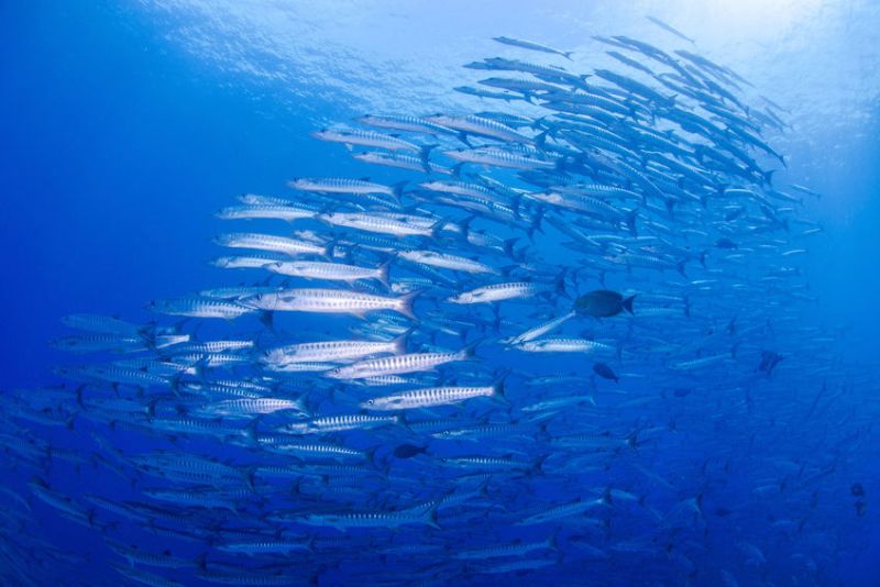 エクスペディア Expedia 世界で一番綺麗な海はどこ 美しすぎる海10選 T Co Hjxa7jzc3x T Co 5mcwc27cdk Twitter