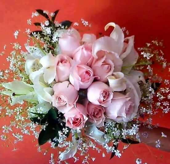 hiam9131's tweet photo. @AboAbdullah1114 العفو صباح الخيروالعافيه ابو عبدالله الغالي https://t.co/lDmthronzG