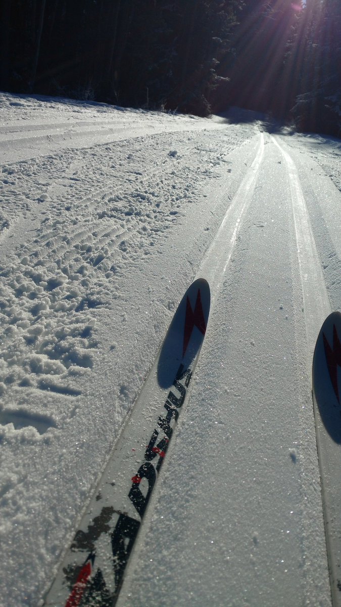 playoutsidegal's tweet photo. How I spent the #firstdayof2016 (XC skiing in Kananaskis) ! Did you #playoutside? #ABparksAmbassador https://t.co/o4tSvkyTo2