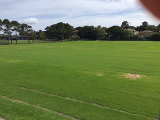 Less than 5 weeks to Bondi 10's, ground looking good